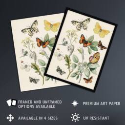 "Artery8 Butterflies Moths Caterpillars Kirby Vintage Wall Art Print Poster in White - Size: W12"" x H16""" - thumbnail 2