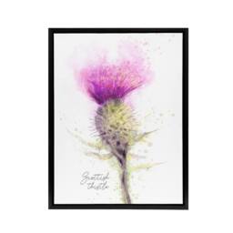 "Artery8 Scottish Thistle Flower Head Framed Canvas Wall Art Print in Purple - Size: W12"" x H16""" - thumbnail 1