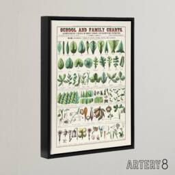 "Artery8 School & family chart No XIX Calkins Framed Canvas Wall Art Print in White - Size: W12"" x H16""" - thumbnail 2
