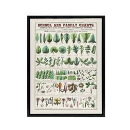 "Artery8 School & family chart No XIX Calkins Framed Canvas Wall Art Print in White - Size: W12"" x H16""" - thumbnail 1