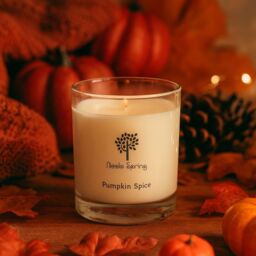 Nicola Spring 160g Soy Wax Scented Candle - Pumpkin Spice - Aromatherapy Jar Candle in Clear - thumbnail 9