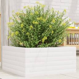 Berkfield Home Decorative Garden Planter White 50x50x23 cm Solid Wood Pine - Size: 50 x 50 x 23 cm - thumbnail 2