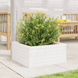 Berkfield Home Decorative Garden Planter White 50x50x23 cm Solid Wood Pine - Size: 50 x 50 x 23 cm