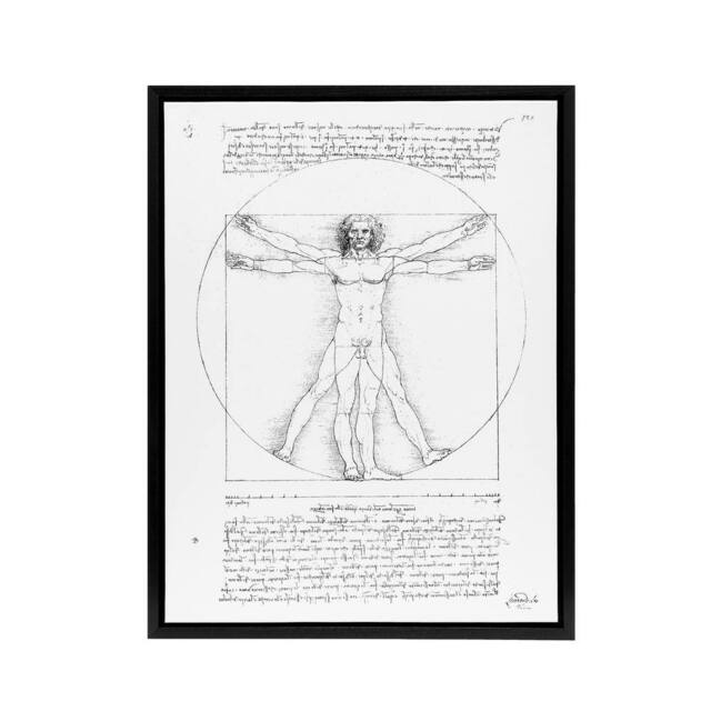"Artery8 Vitruvian Man Black & White da Vinci Vintage Framed Canvas Wall Art - Size: W12"" x H16""" - image 1