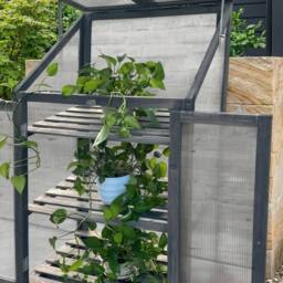 Garden Greatness Lunaria Attractive Wooden Greenhouse in Green - Size: 1 Pack - thumbnail 2