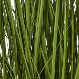 Hill Interiors Allium Artificial Potted Plant in White - thumbnail 4