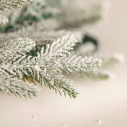 Marco Paul 4pc Luxury Frosted Pre-Lit Christmas Set in Green - Size: 4 Pack - thumbnail 6
