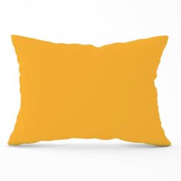 Warren Reed - Designer Cantaloupe Orange Cushions - Size: 60 cm x 60 cm - thumbnail 1