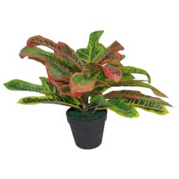 Leaf 40cm Artificial Codiaeum Multicoloured House Plant in Orange