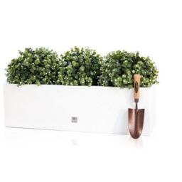 Primrose 80 x 24cm Gloss Fibreglass Trough Planter in White - Size: 80 x 24 cm