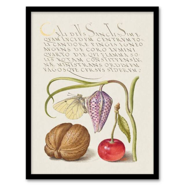 Artery8 Model Book of Calligraphy Framed Wall Art Snakeshead Walnut & Cherry in White - Size: A4 - image 1