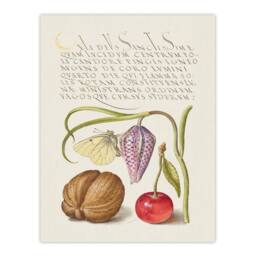 Artery8 Model Book of Calligraphy Framed Wall Art Snakeshead Walnut & Cherry in White - Size: A4 - thumbnail 3