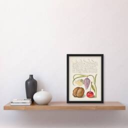 Artery8 Model Book of Calligraphy Framed Wall Art Snakeshead Walnut & Cherry in White - Size: A4 - thumbnail 2