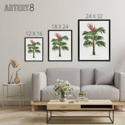 "Artery8 Kentiopsis Macrocarpa Palm Tree Kerchove Framed Canvas Wall Art Print in White - Size: W12"" x H16""" - thumbnail 4