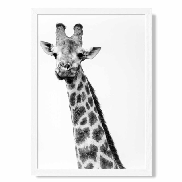 ARTZE Cheeky Giraffe Animal Black & White Photo Framed Print SIZE: A2 with White Frame - Size: A4 - image 1
