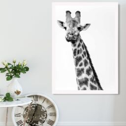 ARTZE Cheeky Giraffe Animal Black & White Photo Framed Print SIZE: A2 with White Frame - Size: A4 - thumbnail 2
