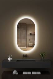Fascinate Pill-Shaped Backlit LED Bathroom Mirror Anti-Fog 80x45cm in Silver - Size: 45 cm width x 75 cm drop