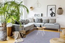 RugsX Patio Rug in Blue - Size: 155 cm x 220 cm - thumbnail 4