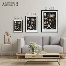 "Artery8 Varieties of Marine Life Starfish Albert I Framed Canvas Wall Art in Black - Size: W12"" x H16""" - thumbnail 4