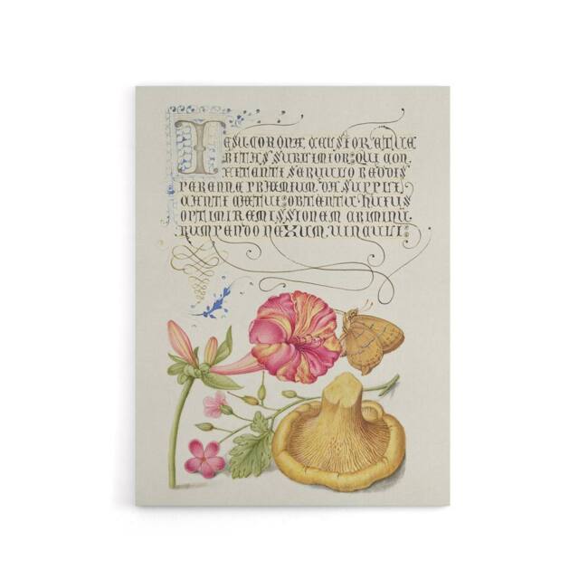 "Artery8 Flowers Mushroom & Butterfly Calligraphy Canvas Wall Art Print in White - Size: W12"" x H16""" - image 1