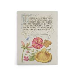"Artery8 Flowers Mushroom & Butterfly Calligraphy Canvas Wall Art Print in White - Size: W12"" x H16""" - thumbnail 1