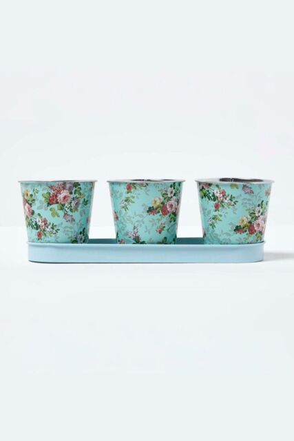 Homescapes Set of 3 Herb Pots with Tray, Rose Print in Blue - image 1