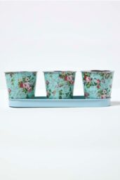 Homescapes Set of 3 Herb Pots with Tray, Rose Print in Blue - thumbnail 5
