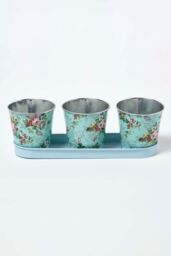 Homescapes Set of 3 Herb Pots with Tray, Rose Print in Blue - thumbnail 2