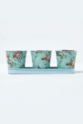 Homescapes Set of 3 Herb Pots with Tray, Rose Print in Blue - thumbnail 1