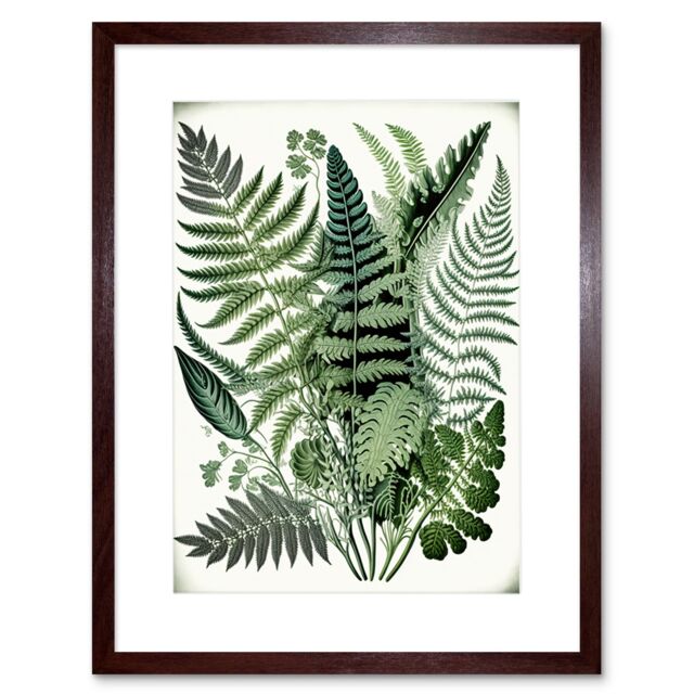 "Artery8 Wall Art Print Haeckel Style Fern Fronds Watercolour Artwork Framed 9X7 Inch in Brown - Size: W7"" x H9""" - image 1