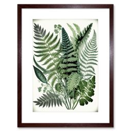 "Artery8 Wall Art Print Haeckel Style Fern Fronds Watercolour Artwork Framed 9X7 Inch in Brown - Size: W7"" x H9""" - thumbnail 1