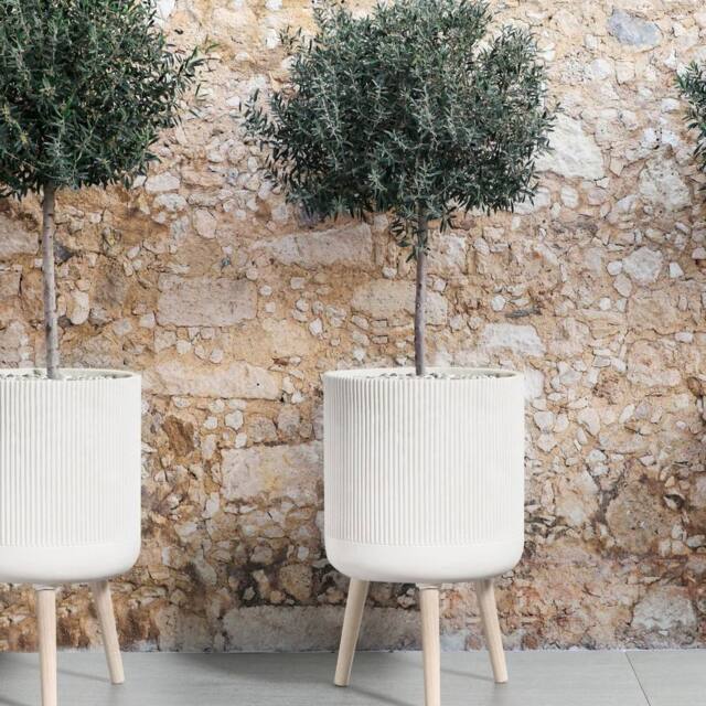 Wyld and Coco Beige Pinstriped Elevated Planter Round Oak Leg Plant Pot - image 1