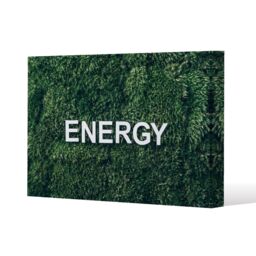 Benjamin Tate Design Wellness Energy (Canvas Print) / 101 x 77 x 4cm in Natural - Size: 101 x 77 x 4 cm - thumbnail 1