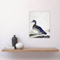 "Artery8 Wood Duck Vintage Bird Oil Painting Schouman Wall Art Poster Print in White - Size: W12"" x H16""" - thumbnail 4