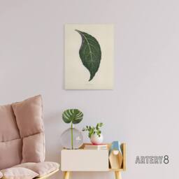 "Artery8 Vintage Botanical Nerve Plant Leaf Fawcett Canvas Wall Art in Beige - Size: W18"" x H24""" - thumbnail 3