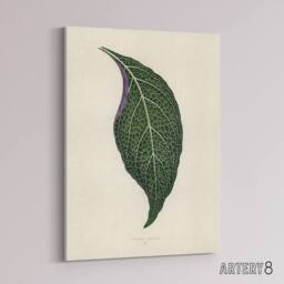 "Artery8 Vintage Botanical Nerve Plant Leaf Fawcett Canvas Wall Art in Beige - Size: W18"" x H24""" - thumbnail 2