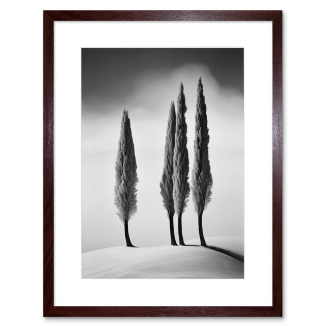 Artery8 Wall Art Print Group of Cypress Trees on Snowy Hill Minimalist Black & White Photograph Cypresses in Foggy Winter Landscape Artwork Framed - image 1