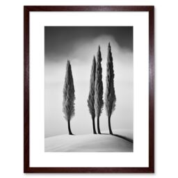 Artery8 Wall Art Print Group of Cypress Trees on Snowy Hill Minimalist Black & White Photograph Cypresses in Foggy Winter Landscape Artwork Framed - thumbnail 1