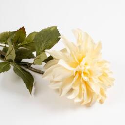 Scottish Everlastings Ltd 70cm Cream Dalia Flower Stem 3PK - thumbnail 2