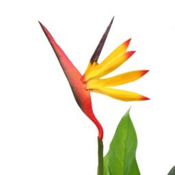 Berkfield Home Artificial Strelitzia Reginae Plant Bird of Paradise 66 cm - thumbnail 1