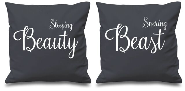 "60 SECOND MAKEOVER Sleeping Beauty Snoring Beast Grey Cushion Covers 16"" x 16"" Couples Cushions Valentines Anniversary Boyfriend - Size: 40 cm x 40 cm"