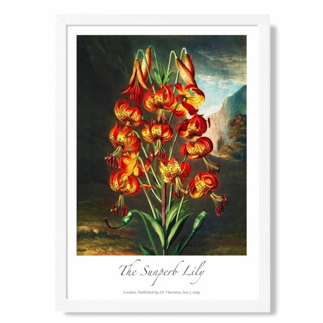 ARTZE Vintage Floral Exhibition - Lily Flower Framed Print SIZE: A2 with White Frame in Red - Size: A4 - image 1