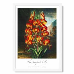 ARTZE Vintage Floral Exhibition - Lily Flower Framed Print SIZE: A2 with White Frame in Red - Size: A4 - thumbnail 1
