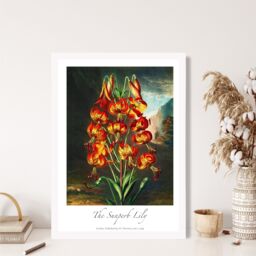 ARTZE Vintage Floral Exhibition - Lily Flower Framed Print SIZE: A2 with White Frame in Red - Size: A4 - thumbnail 2