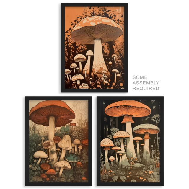 Artery8 A4 Wall Art & Frame Set of 3 Botanical Fungi Mushroom Earthy in Orange - image 1