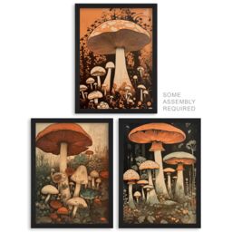 Artery8 A4 Wall Art & Frame Set of 3 Botanical Fungi Mushroom Earthy in Orange - thumbnail 1