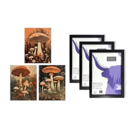 Artery8 A4 Wall Art & Frame Set of 3 Botanical Fungi Mushroom Earthy in Orange - thumbnail 5