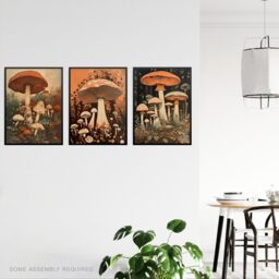 Artery8 A4 Wall Art & Frame Set of 3 Botanical Fungi Mushroom Earthy in Orange - thumbnail 2