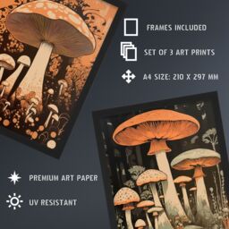 Artery8 A4 Wall Art & Frame Set of 3 Botanical Fungi Mushroom Earthy in Orange - thumbnail 3