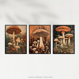 Artery8 A4 Wall Art & Frame Set of 3 Botanical Fungi Mushroom Earthy in Orange - thumbnail 4